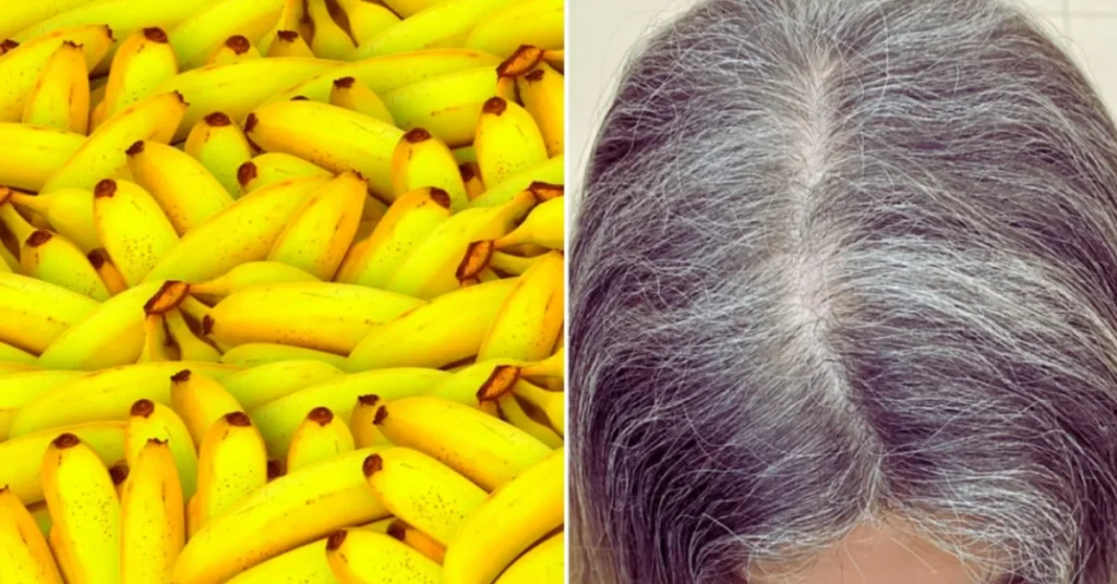 Hidratacao-para-Cabelo-Branco-Caseiro