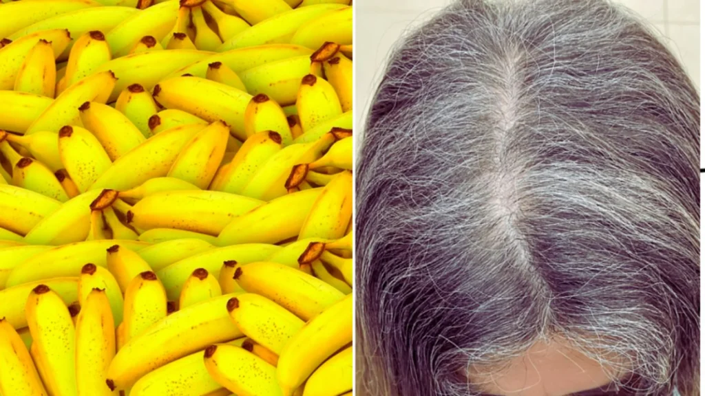 Hidratacao-para-Cabelo-Branco-Caseiro