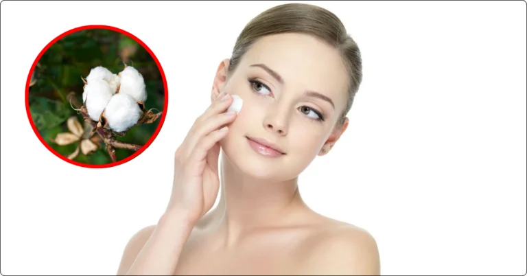 algodao-skincare